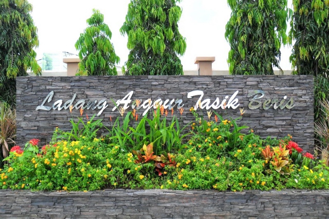 ladang anggur