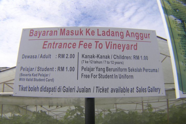 ladang anggur byrn msk